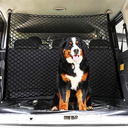 Dog Car | Barrier Net