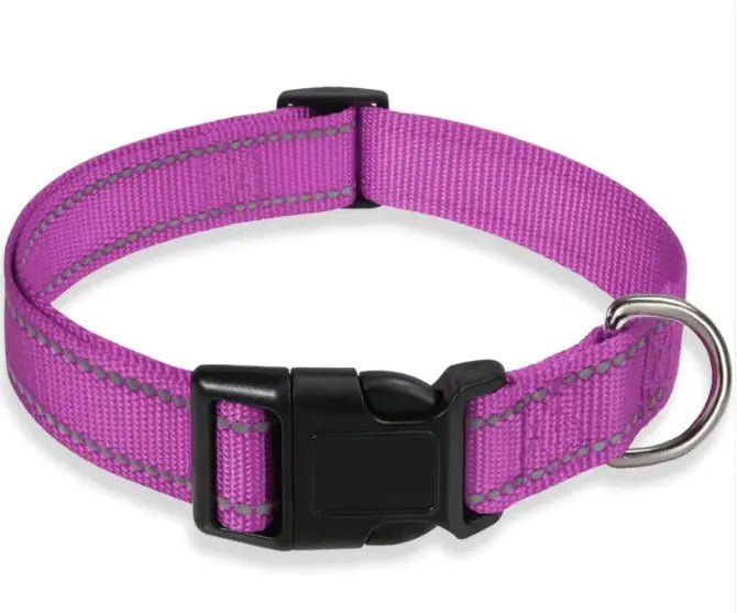 Adjustable Strap Collar | Dog Collar