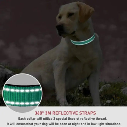 Adjustable Strap Collar | Dog Collar