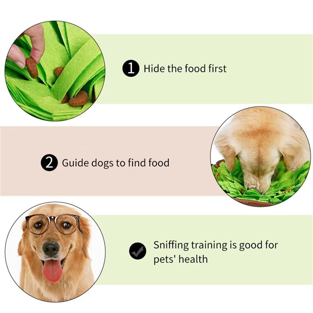 Dog | Training Mat