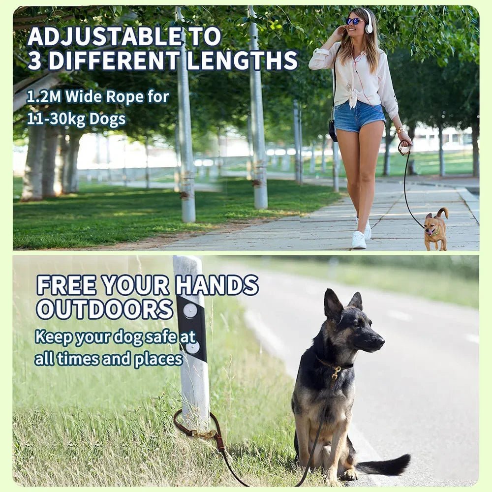 Double Hands-Free Leash | Adjustable