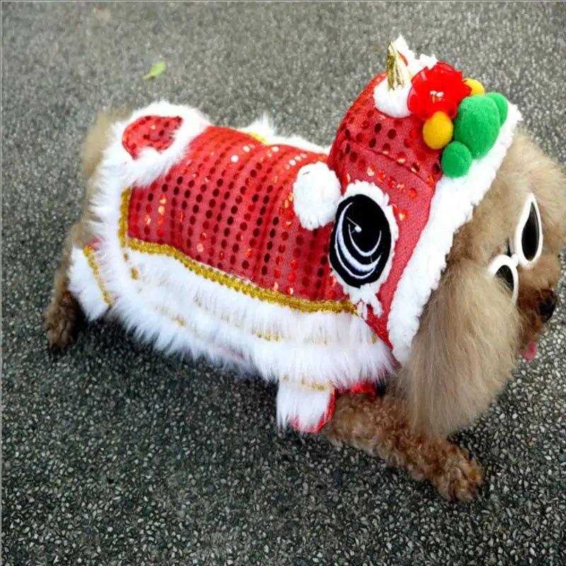 Spring Festival | Dog Coat