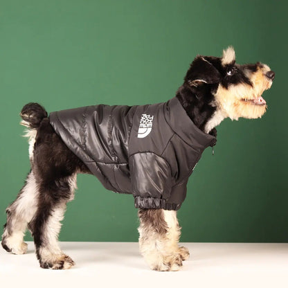 Warm & Windproof | Winter Dog Clothes