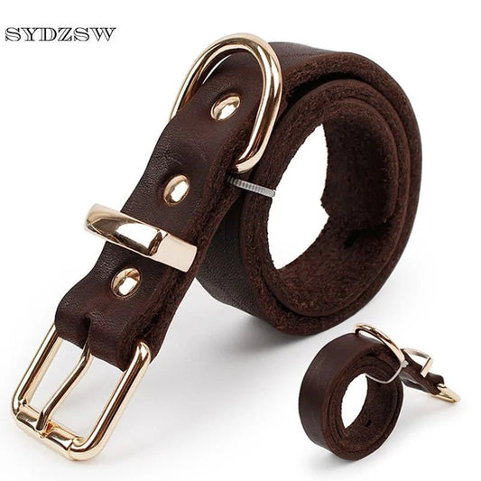 Premium Leather Collar | Dog Collar