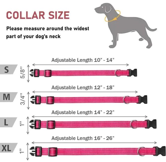 Adjustable Strap Collar | Dog Collar