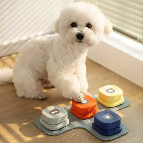 Stimulating & Fun | Trainable Dog Toy