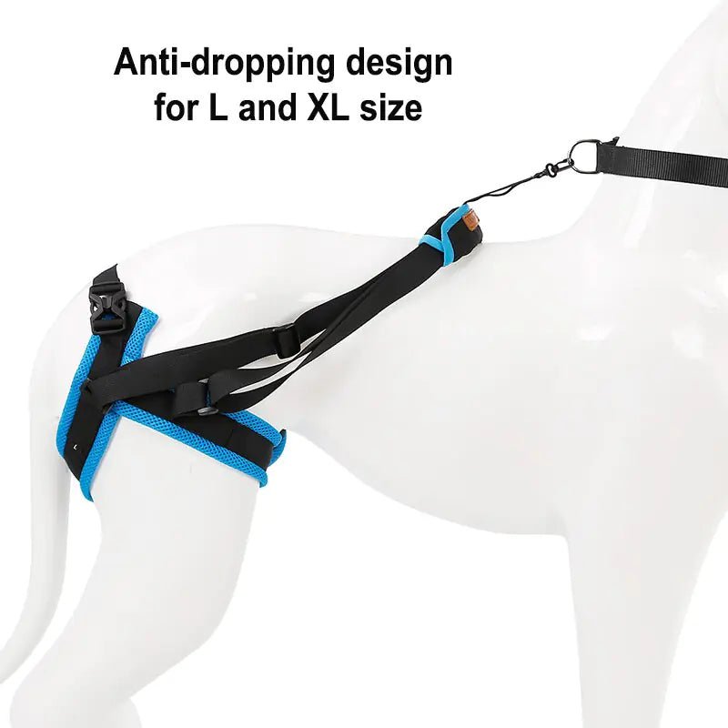 Adjustable Dog Lift Harness For Back Legs