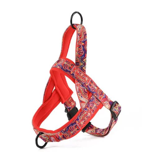 Dog Harness | with Leash