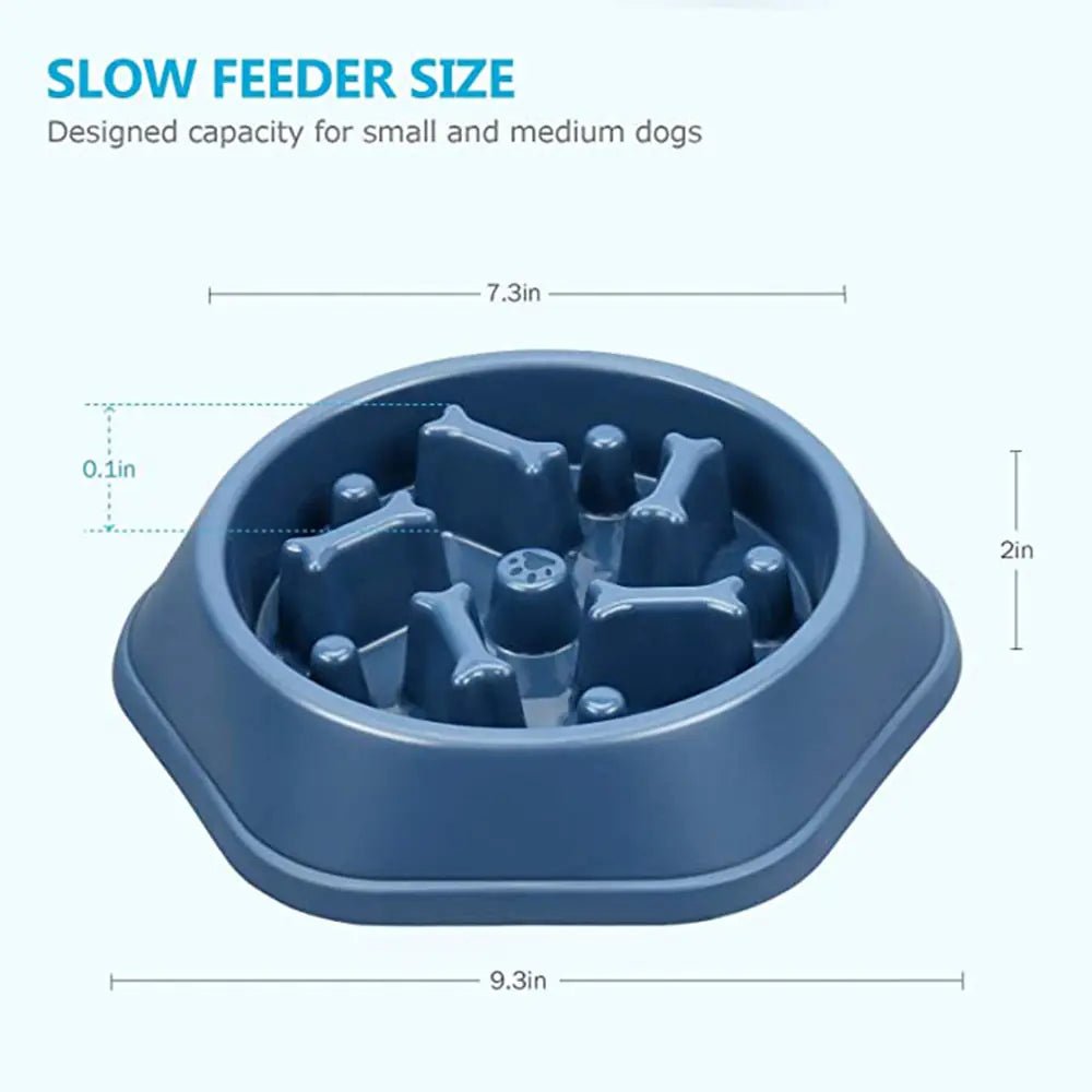 Slow Feeder | Bone Design Bowl