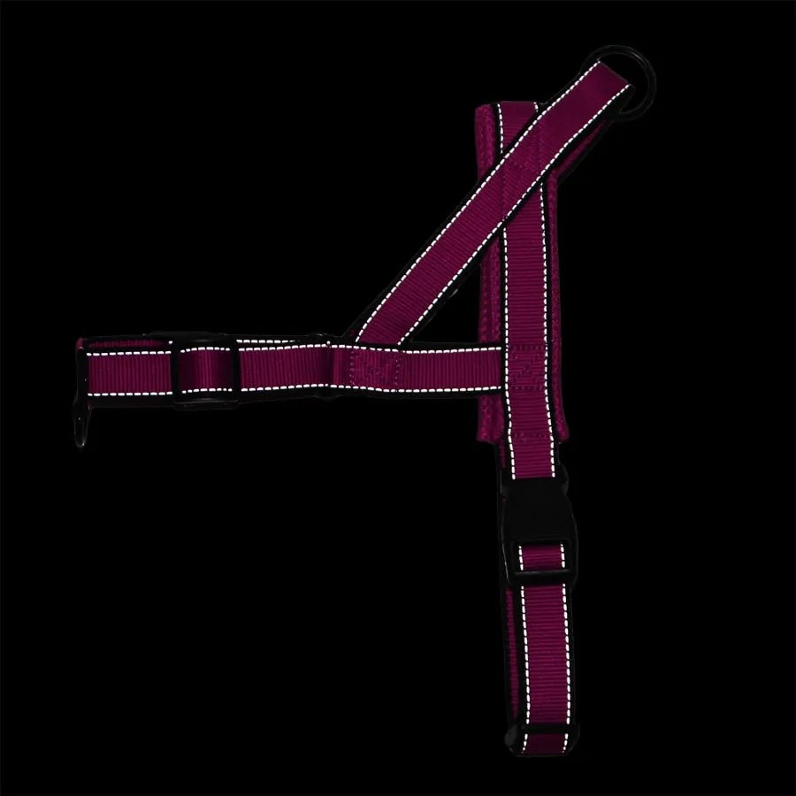 Dog Harness | Adjustable