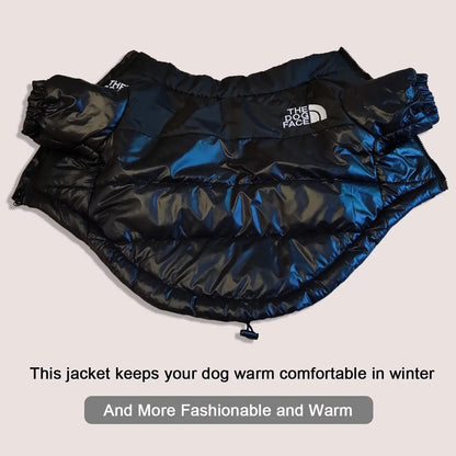 Warm & Windproof | Winter Dog Clothes