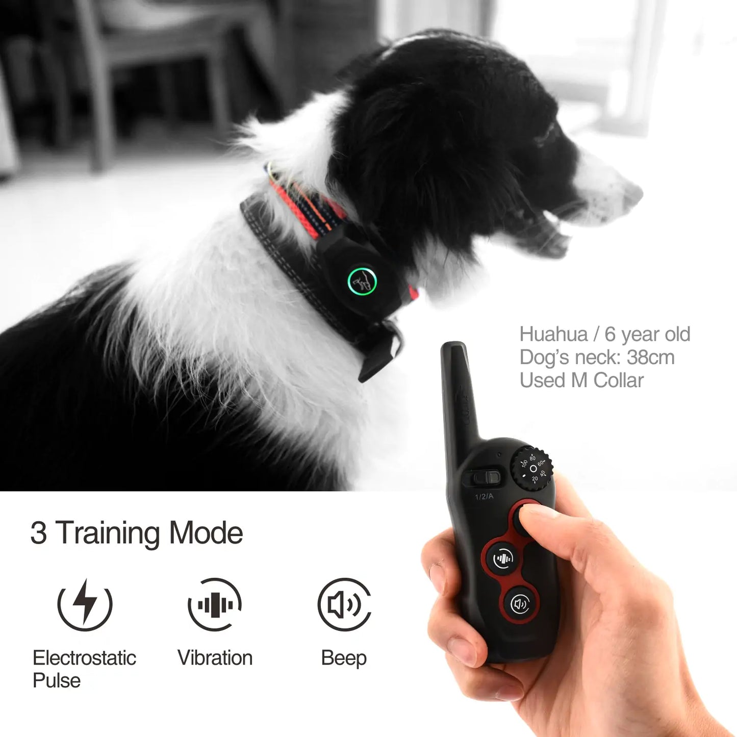 The DB400 Remote Dog Bark & Training Collar