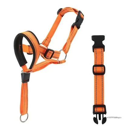 Dog Halter | Training Head Collar