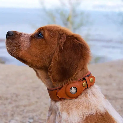 The Original Roam | Dog Collar