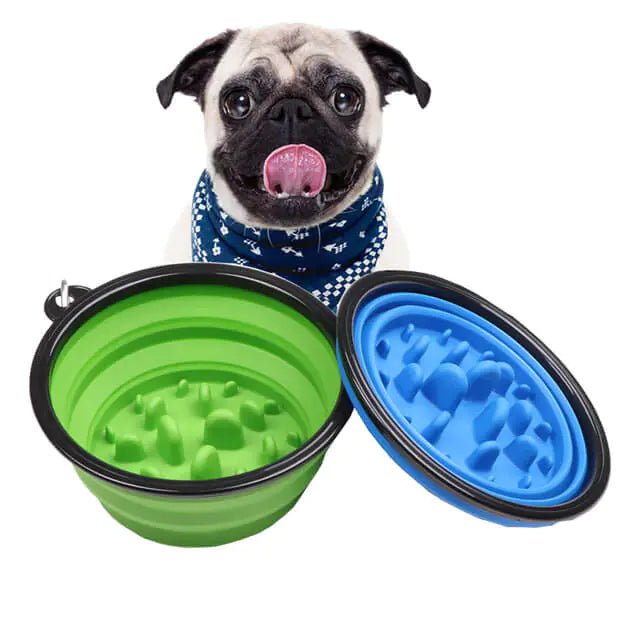 Dog Bowl | Portable Slow Feeder