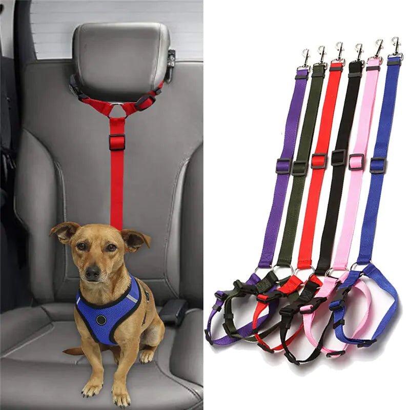 Dog Seatbelts | Travel Safety