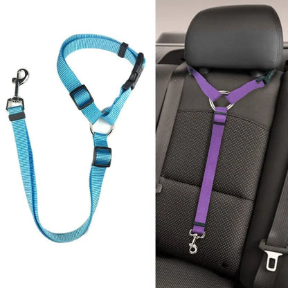 Dog Seatbelts | Travel Safety