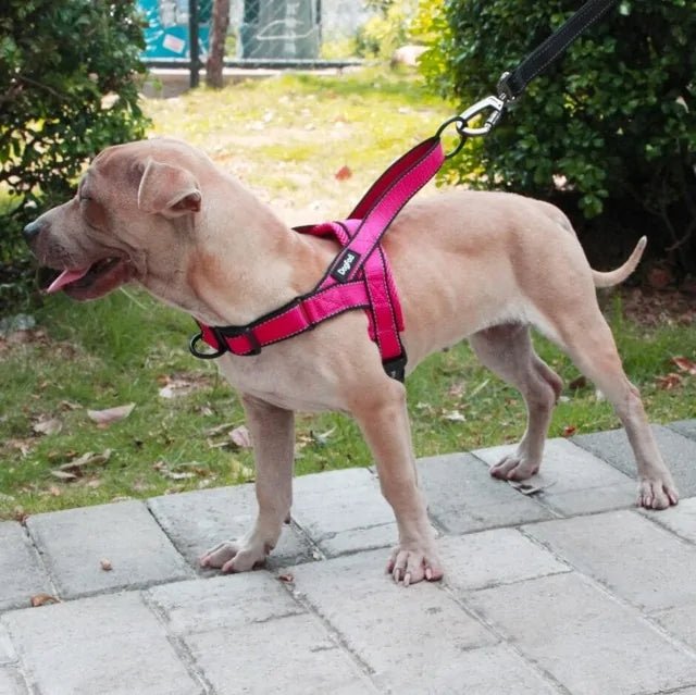 Dog Harness | Adjustable