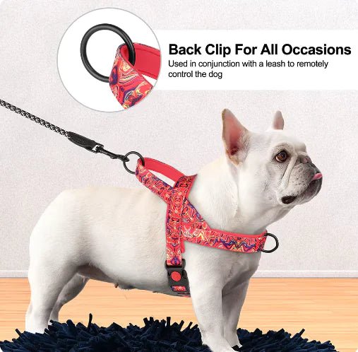 Dog Harness | with Leash