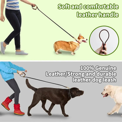 Double Hands-Free Leash | Adjustable