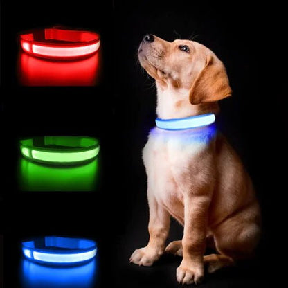 Luminous | AirTag Collar