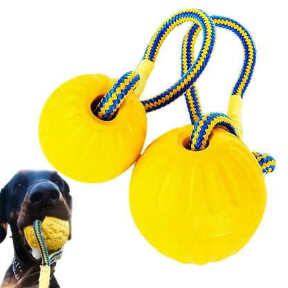 Dog Training Ball on Rope