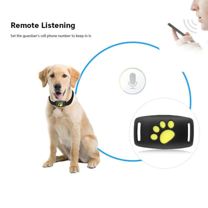 GPS Tracker Collar | Dogsy Dog Tracker