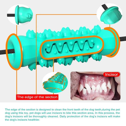 Chew Toy | Toothbrush