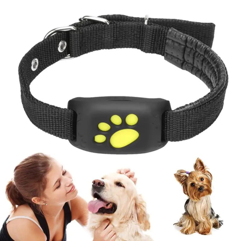 GPS Tracker Collar | Dogsy Dog Tracker