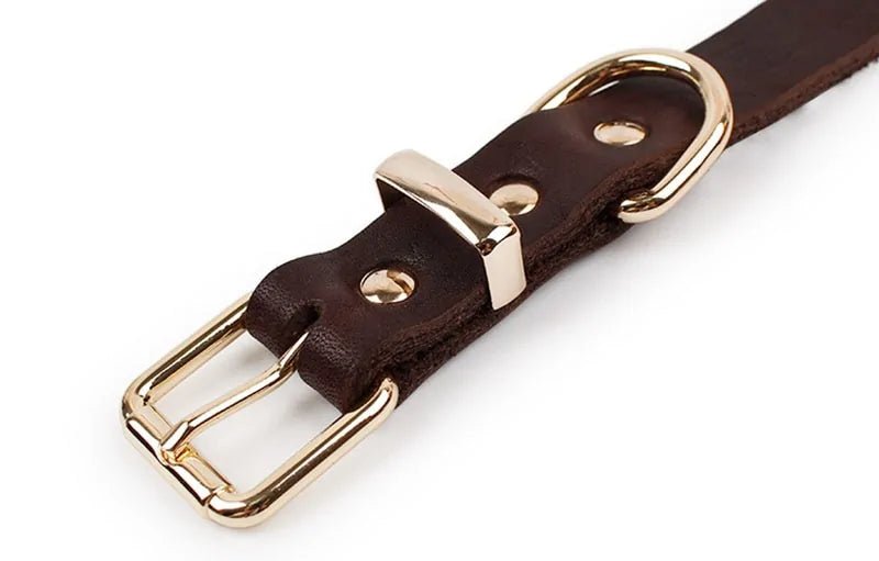 Premium Leather Collar | Dog Collar