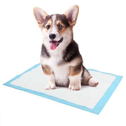 Super Absorbent Diaper | Dog Training Pee Pads