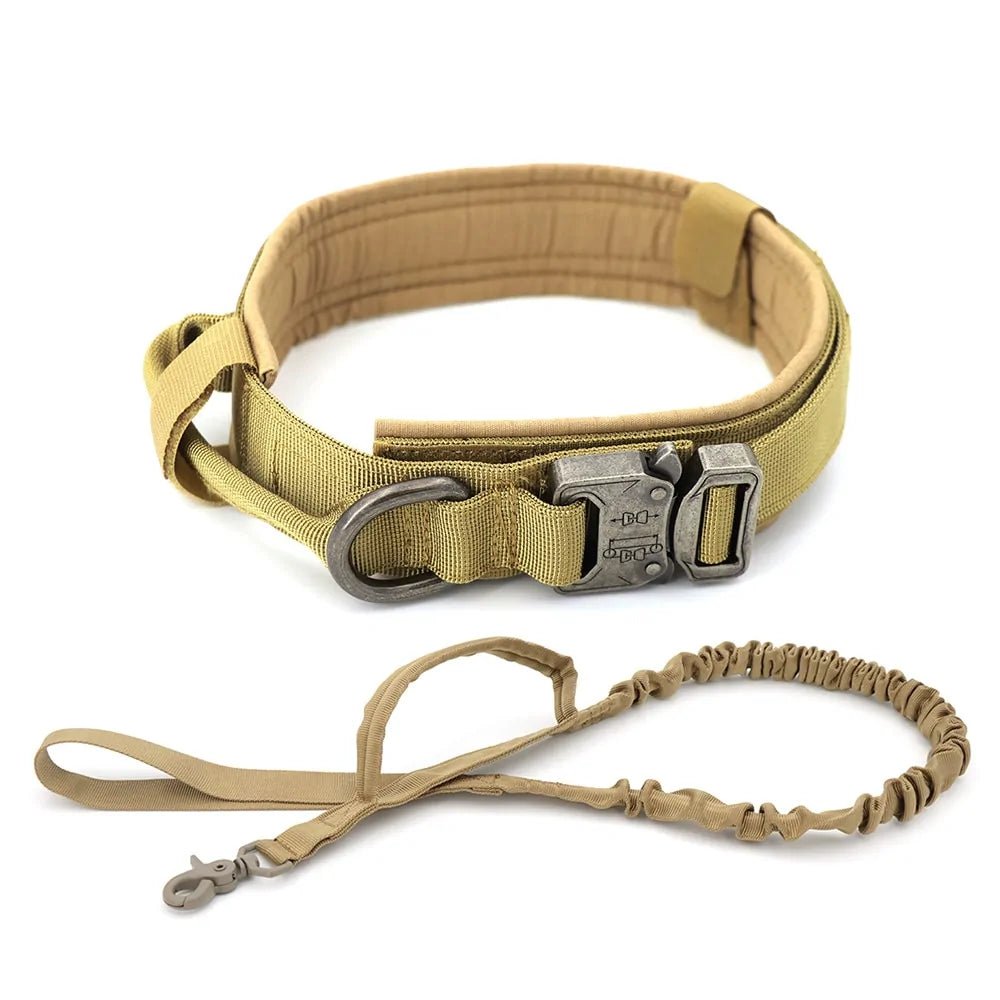 Tactical Dog Collar | Dual Closure