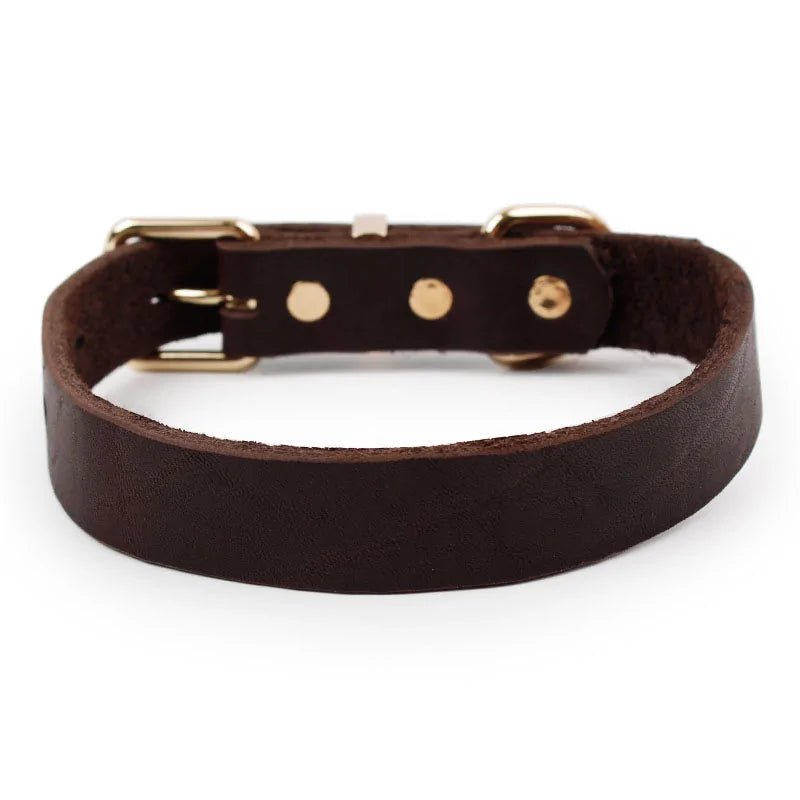 Premium Leather Collar | Dog Collar