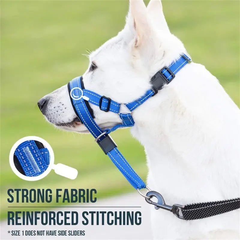 Dog Halter | Training Head Collar