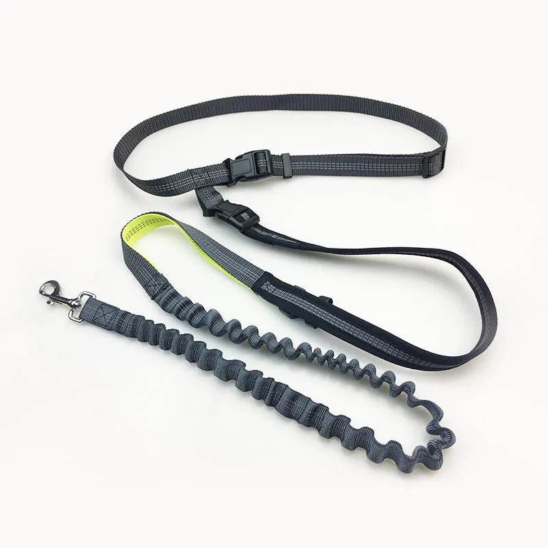 Handsfree | Bungee Leash