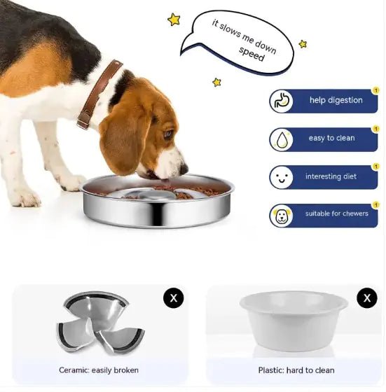 Dog Bowl Slow Feeding | Healthy Eating