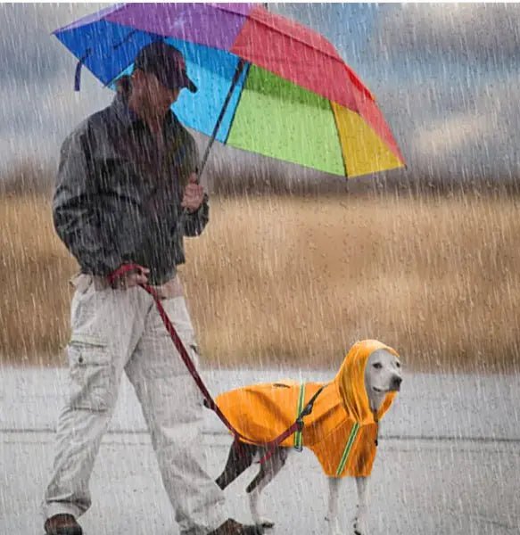 Dog Rain Coat | Adjustable & Reflective