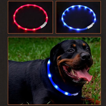 Luminous Pet Collar | DogsyDog