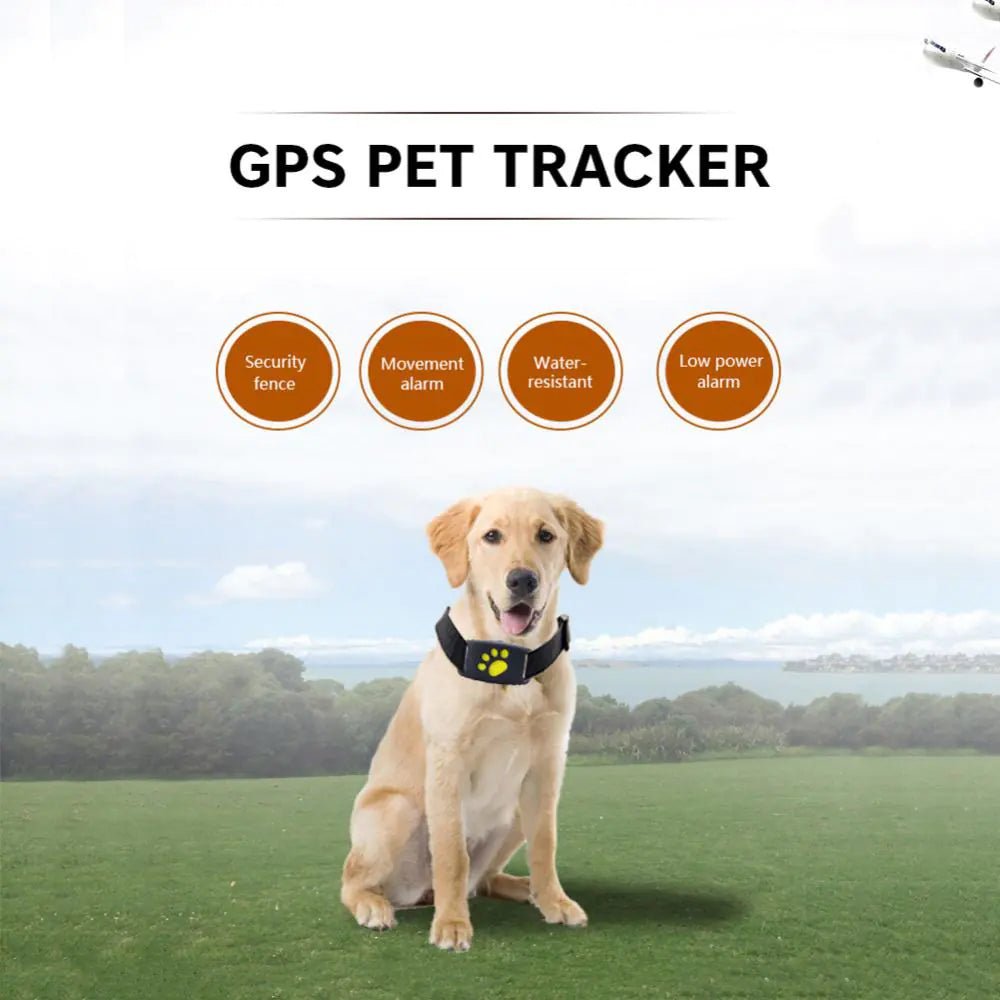 GPS Tracker Collar | Dogsy Dog Tracker