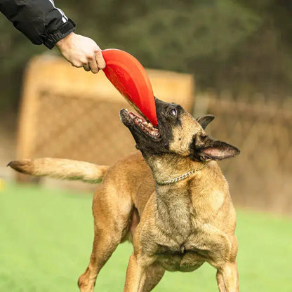 DogsyDog Rubber Flying Disc | Dog Rubber Toy