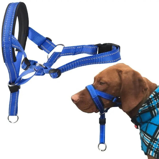 Dog Halter | Training Head Collar