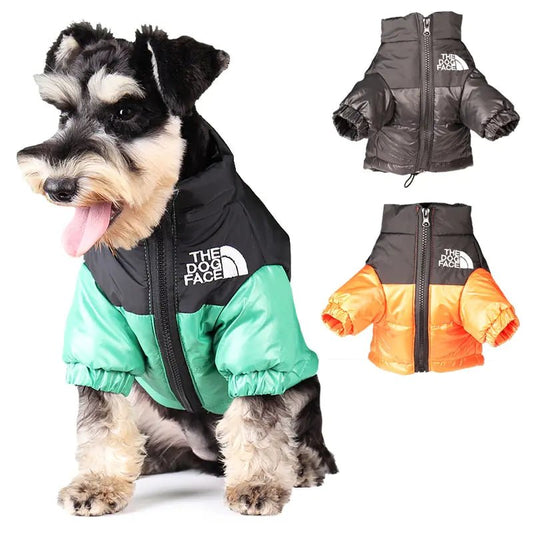 Warm & Windproof | Winter Dog Clothes