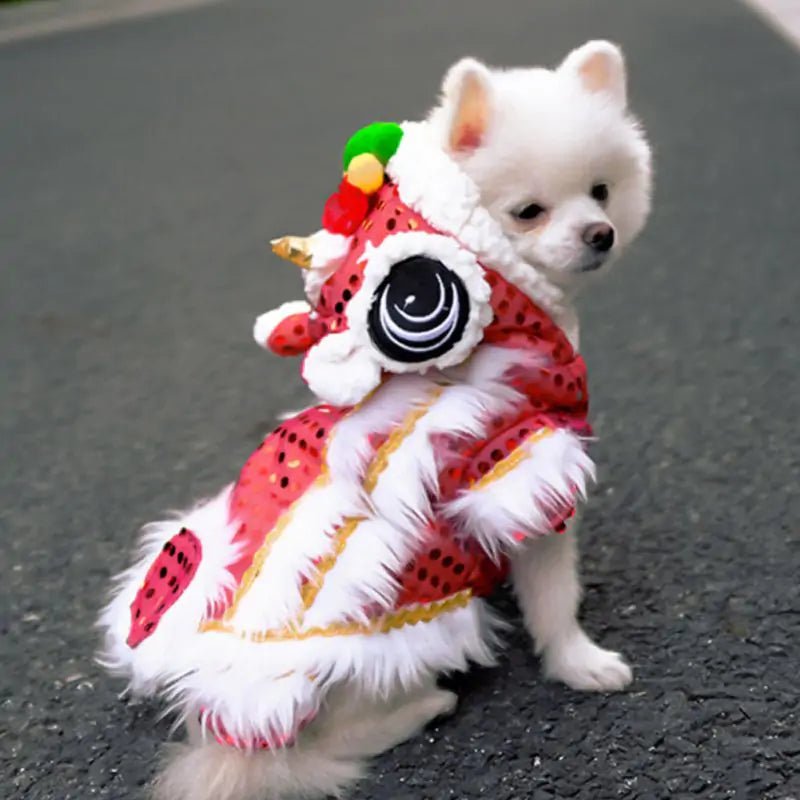 Spring Festival | Dog Coat