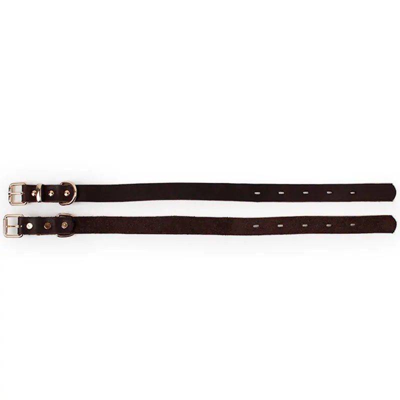 Premium Leather Collar | Dog Collar