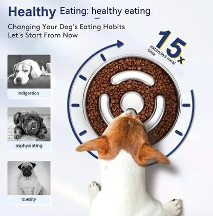 Dog Bowl Slow Feeding | Healthy Eating