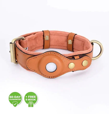 The Original Roam | Dog Collar