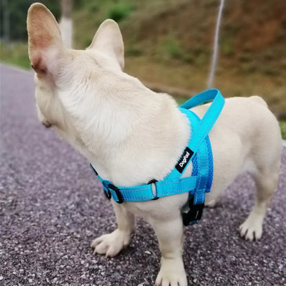 Dog Harness | Adjustable