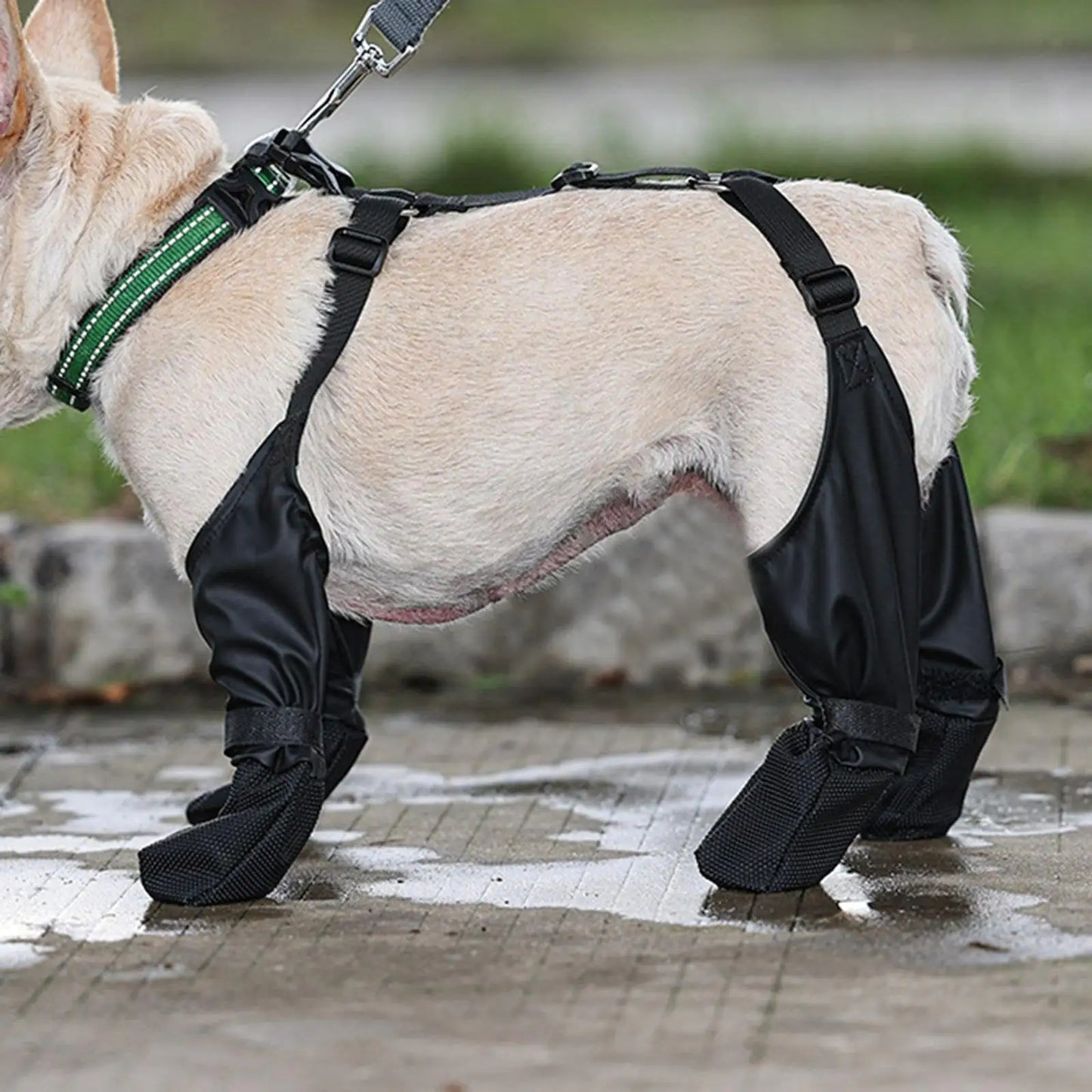 Suspender Dogs Boots | Paw Protection Redefined!