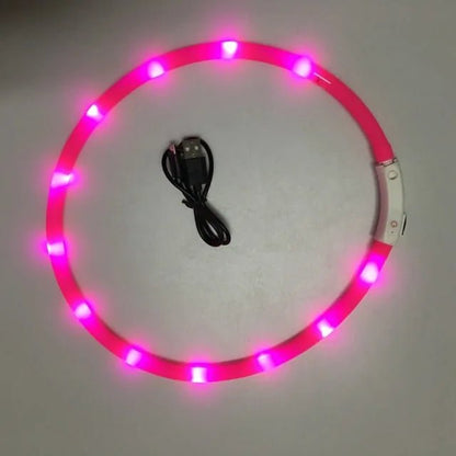 Luminous Pet Collar | DogsyDog