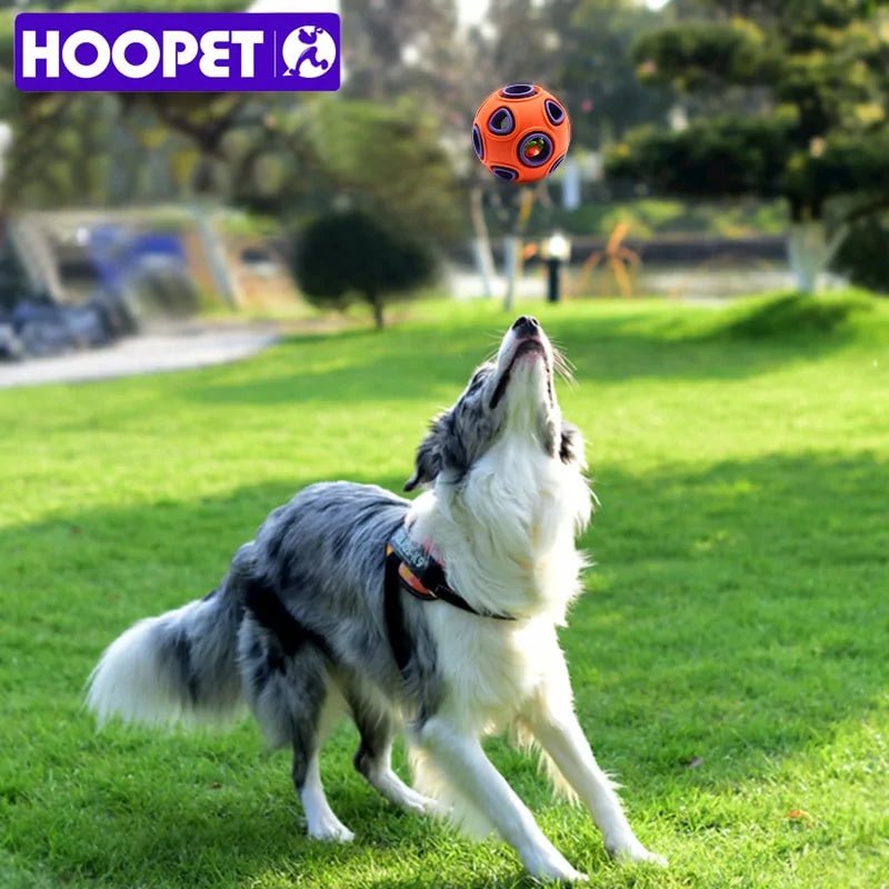 HOOPET | Interactive Chew Ball